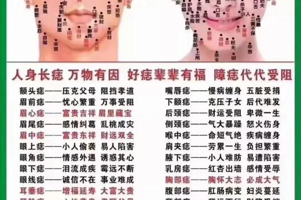 面相识人，痣相看命运：带你领略痣相图的魅力