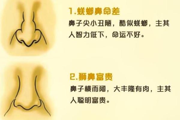 金面水光，财运亨通：揭秘面相中的富贵密码