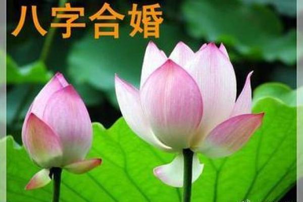 八字合婚揭秘：如何通过命理选择理想伴侣