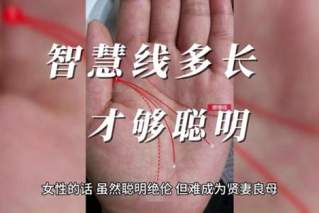 手相智慧线多岛纹揭秘：命运转折的神秘征兆