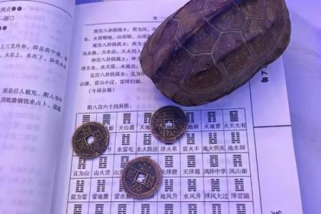 梅花易数与手相奥秘：揭秘命运之谜，助你掌握人生航向