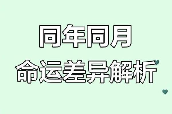 甲寅辰月命理解析：揭示命运的深层秘密