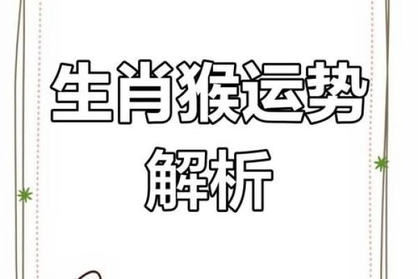猴年生肖，揭秘你的生肖运势新篇章