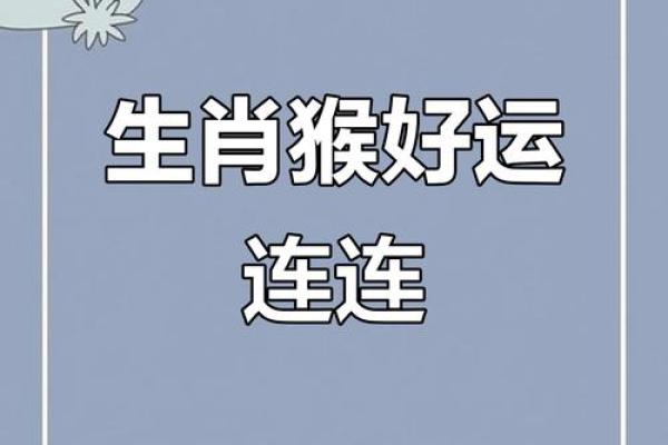 猴年生肖，揭秘你的生肖运势新篇章