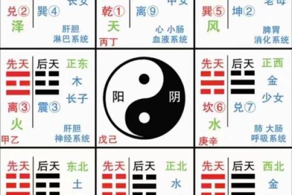 八字解析免费，周易为你指点人生方向