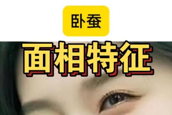卧蚕面相：旺夫旺家，揭示女性面相中的旺夫密码