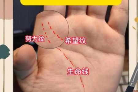 手相揭秘：揭秘手指纹路背后的惊人秘密