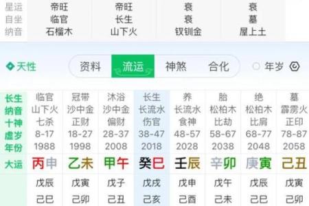 八字解析免费，周易为你指点人生方向