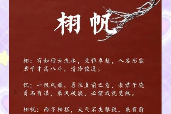 骁起名秘籍：让你的名字独特又有意义