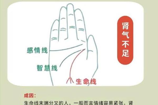 揭秘手相奥秘：这些神秘线条你都了解吗？