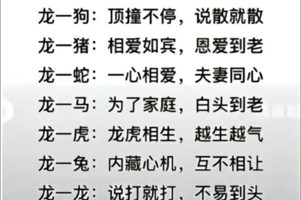 男老虎女牛配对大揭秘：真的般配吗？
