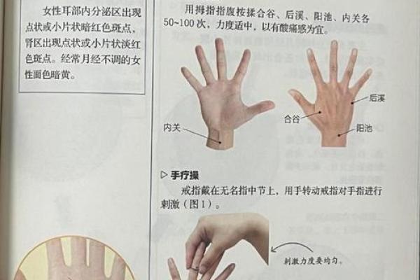 手相识人心：一册在手，识透命运玄机