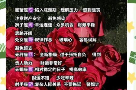 07星座运势大揭秘：谁将迎来爱情转运，谁将事业高飞？