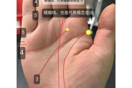 手相揭秘：创业者的命运指南，你命中注定适合创业吗？