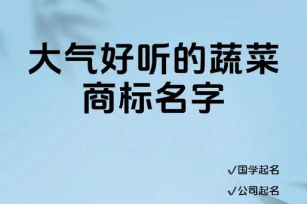 给蔬菜种植公司起个响亮名字的五大诀窍