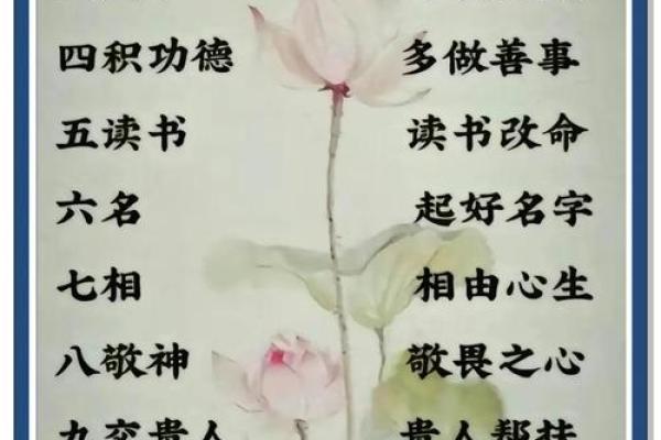 命理制用结构解析：你不可忽视的命运法则