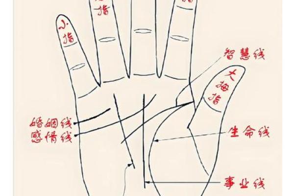 揭秘手指尖肚鼓起手相的惊人秘密