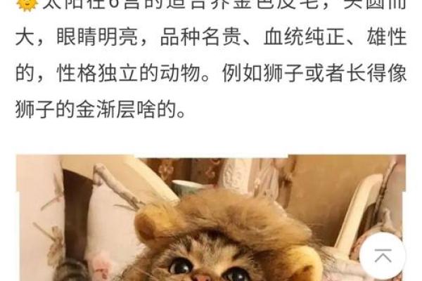 属牛遇兔，缘分深浅？