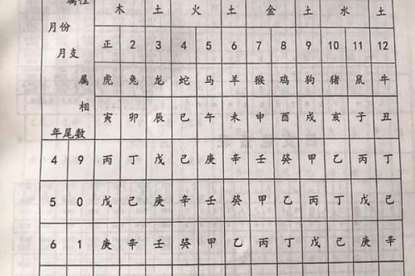 程五行属什么？揭秘程五行的真实属性