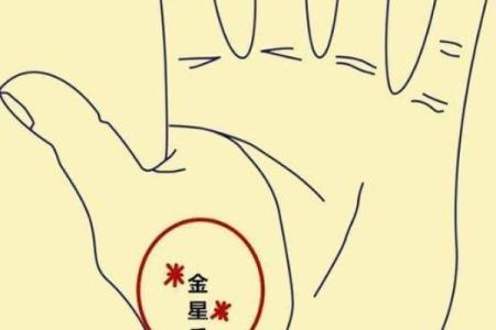 手相揭秘：金星丘多竖纹，预示着你的人生运势大不同