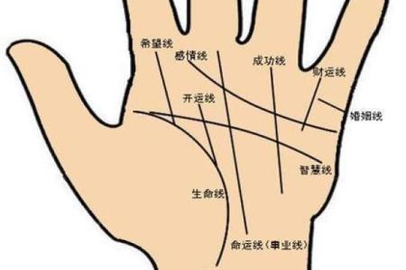 面相揭秘：手面相流年，揭秘你的运势起伏