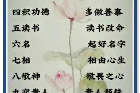命理制用结构解析：你不可忽视的命运法则