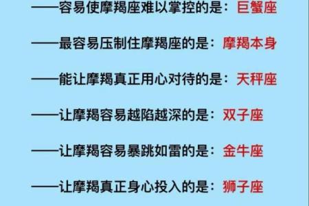 鬼猫屋独家揭秘：十二星座专属神秘守护图，揭秘你的星座宿命