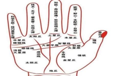 手相揭秘：揭秘你的事业线，财运亨通的秘密武器