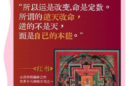 命理学入门：一步步教你解读命运奥秘