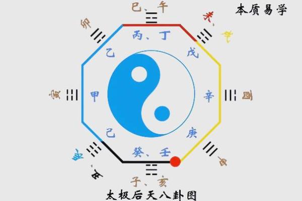 辰时生肖，运势翻倍秘籍