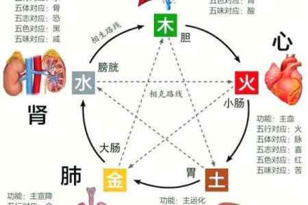 五行相克与运势：你是否被五行制约？