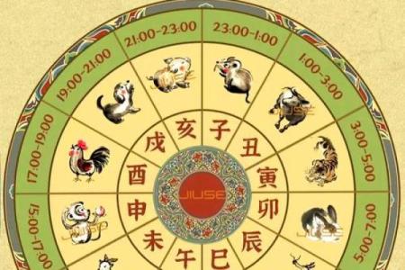 生肖逆袭：揭秘十二生肖的神秘力量