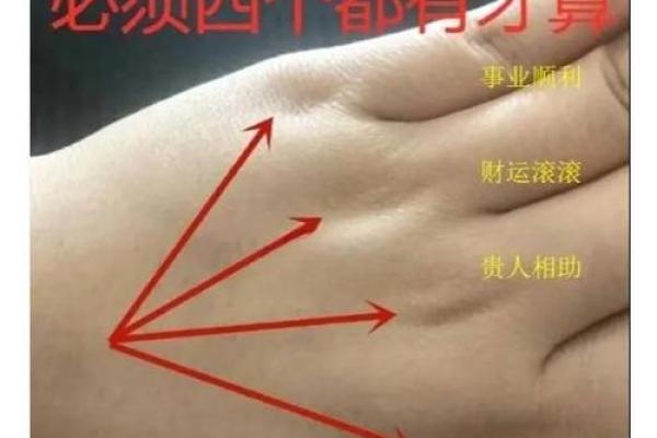揭秘手相笔架骨：掌握财运秘诀，轻松识别人生赢家