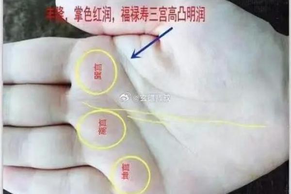 一掌在手，运势全知：揭秘手相密码中的财富与健康秘密