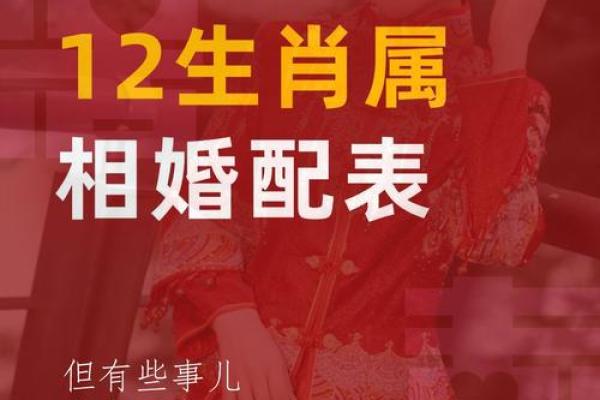 蛇兔婚姻配对：性格与命运的奇妙结合