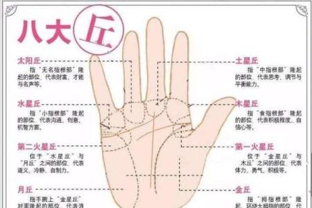 揭秘手相笔架骨：掌握财运秘诀，轻松识别人生赢家