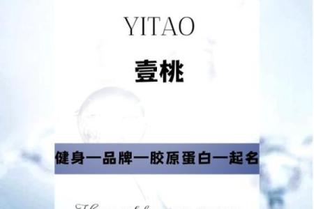 公司命名宝典：打造成功品牌