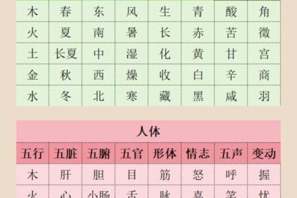 探索飞字五行的深层含义