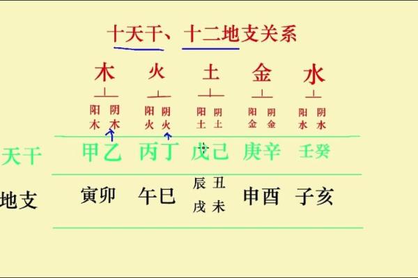 天干和地支的关系，带你深入解析古老的知识体系
