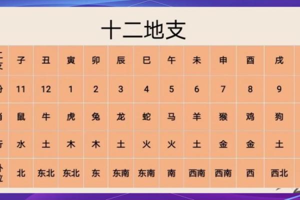 天干和地支的关系，带你深入解析古老的知识体系