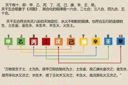 深入解读天干相克和地支相合的神奇关系