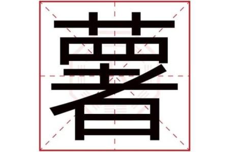 探索飞字五行的深层含义