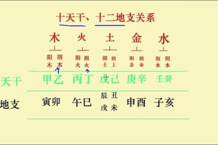 天干和地支的关系，带你深入解析古老的知识体系
