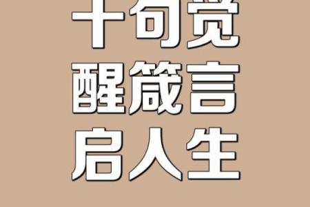 八字决破解命运的奥秘，让你的人生不再平凡
