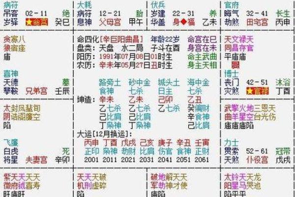 紫微排盘华易教程，轻松预测未来趋势