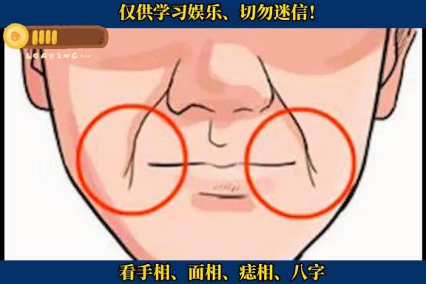 揭秘安徽面相大师：一眼识人，财运亨通的秘密