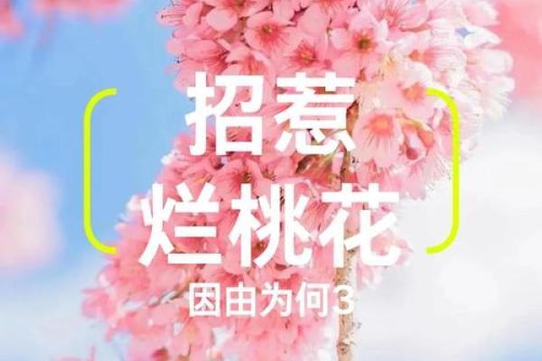 一招破解桃花煞，让你远离烂桃花，财运亨通