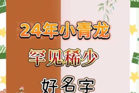 属龙宝宝最佳名字推荐