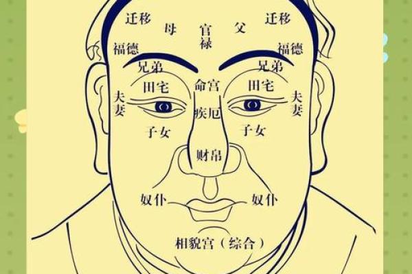 面相揭秘：12官面相大揭秘，揭秘你的命运与性格