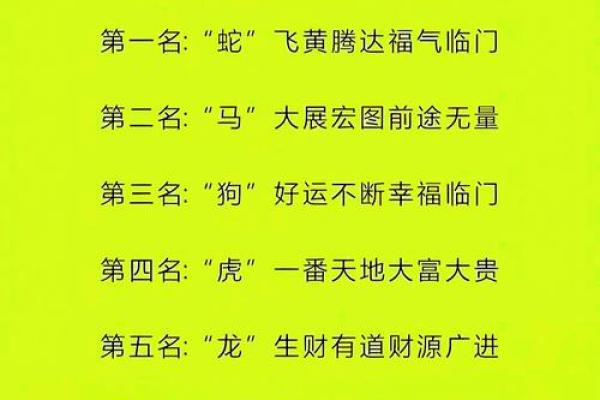 虎狗配对，2022年生肖运势大揭秘